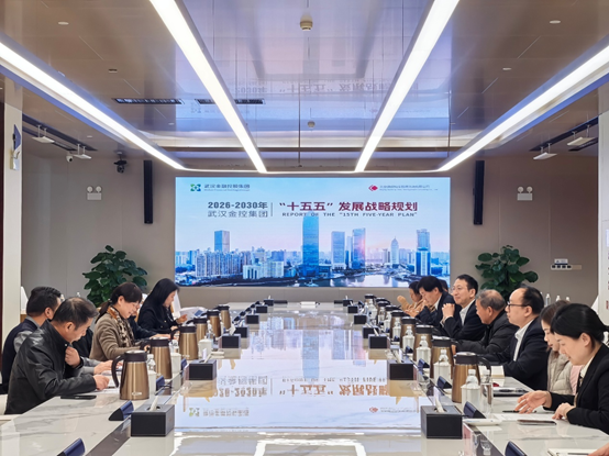 武汉金控集团“十五五”发展战略规划项目顺利结...